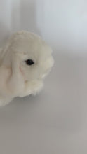 Load and play video in Gallery viewer, Baby Bunny
