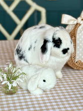 Load image into Gallery viewer, Bunny &amp; Basket - Nells Archdale
