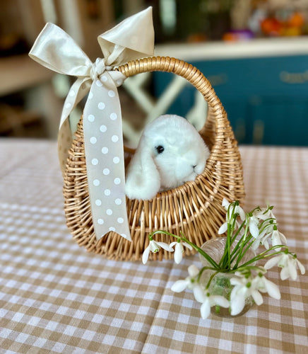 Bunny & Basket - Nells Archdale
