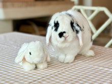 Load image into Gallery viewer, Bunny &amp; Basket - Nells Archdale
